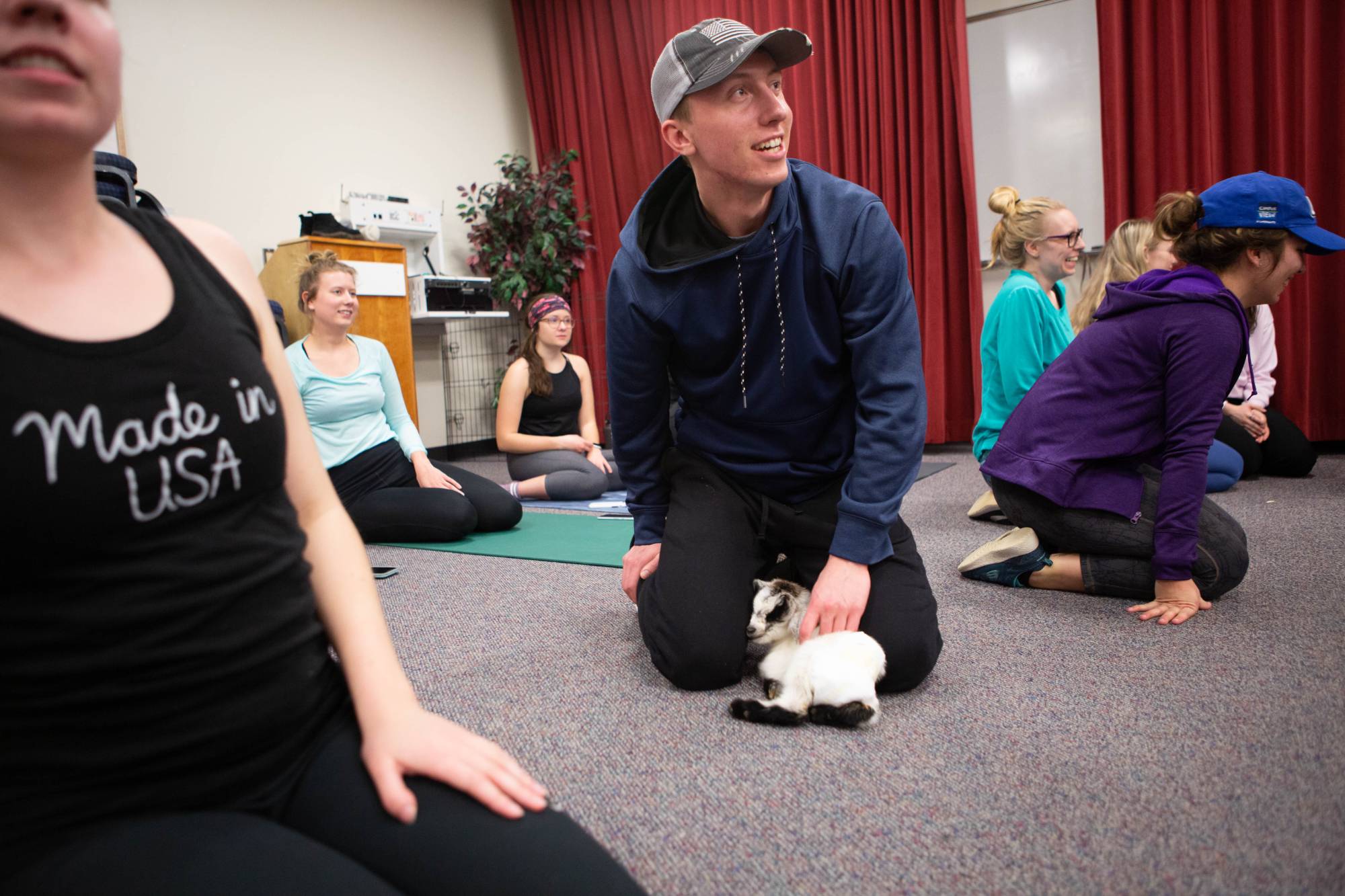 Students participating in goat yoga